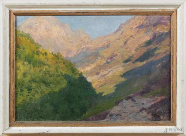 Paesaggio montano, XIX-XX secolo, olio su tela, cm 38x55, firmato in basso a sinistra, entro cornice, (segni di usura, abrasioni, difetti)