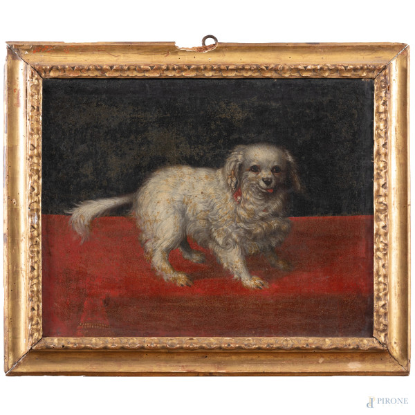 Cane, XVIII secolo, olio su tela, cm 50x64, entro cornice, (abrasioni, craquelure, sollevamenti e cadute di colore)