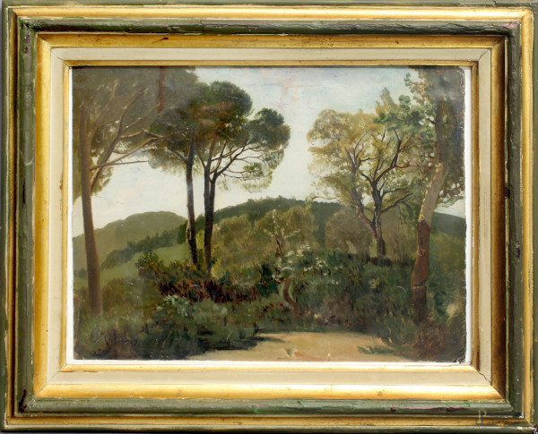 Paesaggio, olio su tela firmato F. Capuano, cm 28 x 37, entro cornice.
