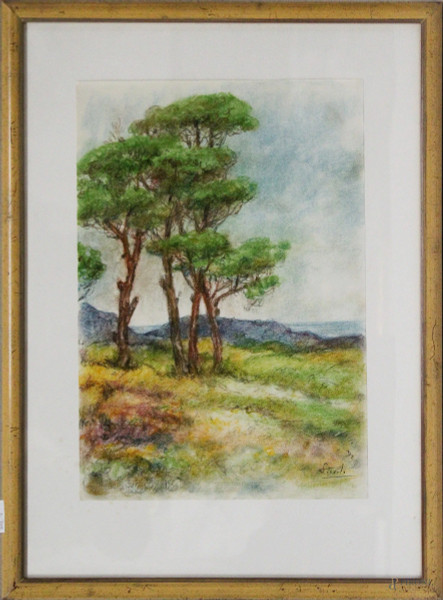 Ettore Piccolo, Paesaggio con alberi, dipinto a tecnica mista, cm 48 x 33, entro cornice.