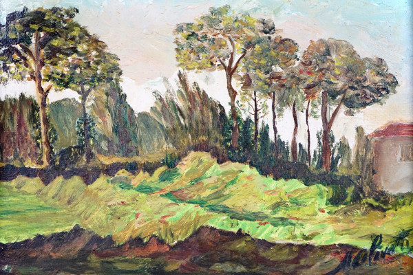 Paesaggio alberato, olio su cartone, cm 25x35, firmato, entro cornice