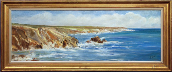 Paesaggio costiero, olio su tela, cm. 40x116, firmato G. Caselli, entro cornice.