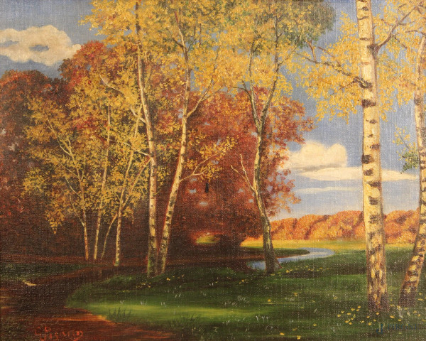 Paesaggio boschivo, olio su cartone telato cm. 34x43, firmato, entro cornice.