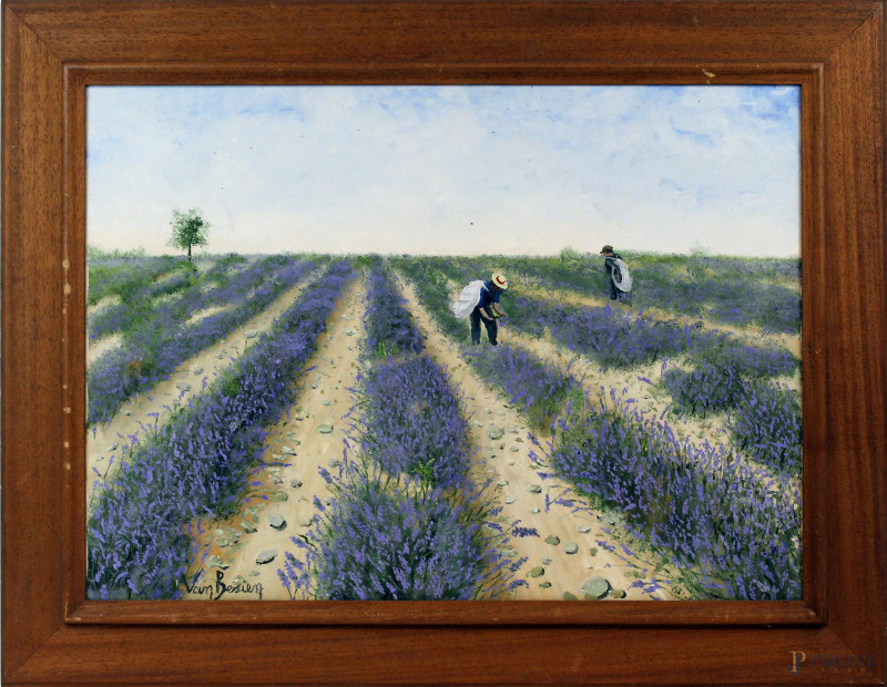 Raccolta della lavanda, olio su tela, cm 50x70, firmato, entro cornice.  - Asta ANTIQUARIATO E ARTE MODERNA - Aste Pirone