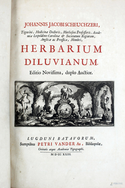 Herbarium Diluvianum, Lugduni, 1723  - Asta PRIMA TORNATA D' ASTA A TEMPO DI FINE STAGIONE - Aste Pirone