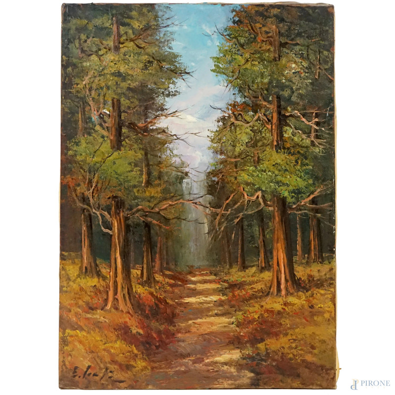 Viale alberato, olio su tela, cm 70x50, firmato.  - Asta ASTA DI ARTE MODERNA, CONTEMPORANEA E VINTAGE - Aste Pirone