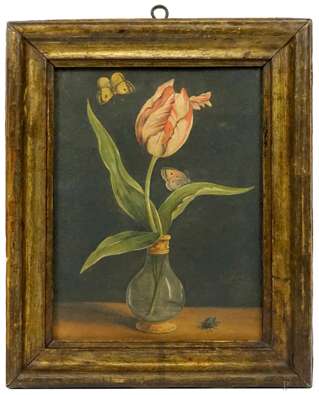 Scuola di Balthasar van der Ast (1593-1657), Tulipano con farfalle e mosca, olio su carta riportata su tela, cm 28x21, entro cornice.  - Asta ASTA A TEMPO DI ANTIQUARIATO E ARTE MODERNA - Aste Pirone