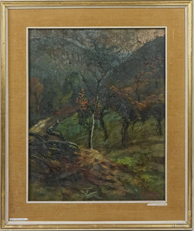 Alberto Nicotra : Scorcio montuoso, olio su tavoletta, cm 53x41,5, entro cornice.  - Asta ASTA A TEMPO - Aste Pirone