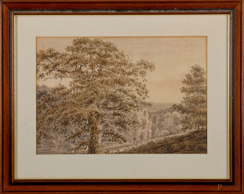 Paesaggio alberato, scuola inglese, XIX secolo, acquerello su carta, cm 50,5x67 compreso passepartout, entro cornice, (difetti)  - Asta ASTA A TEMPO | VARIÆ - Aste Pirone