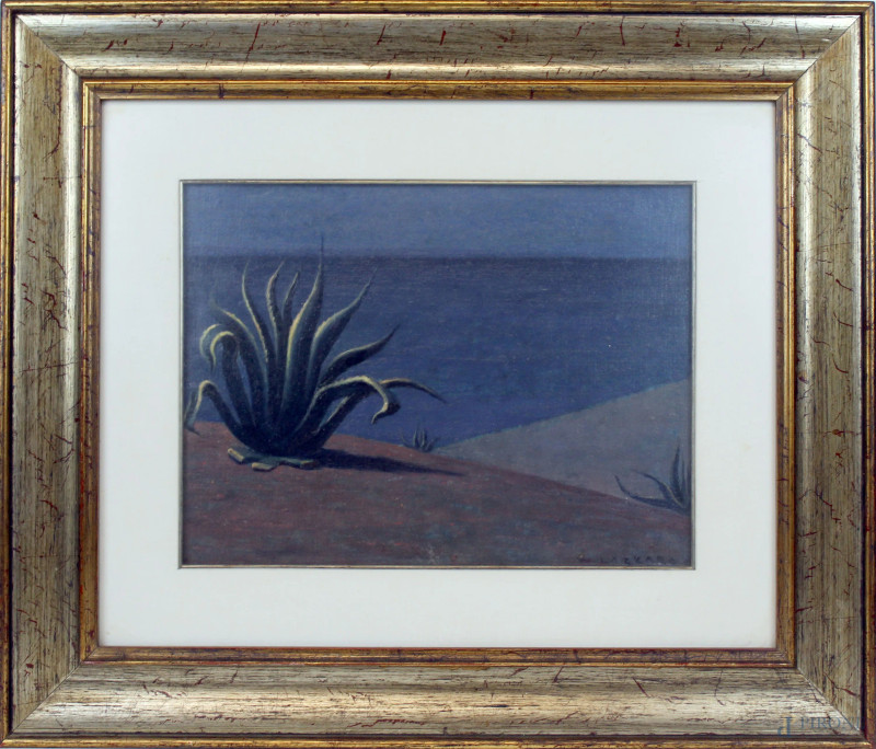 Walter Lazzaro : Agave di Calabria, olio su cartone telato, cm 30x40, entro cornice.  - Asta ASTA DI ARTE MODERNA E ANTIQUARIATO - Aste Pirone