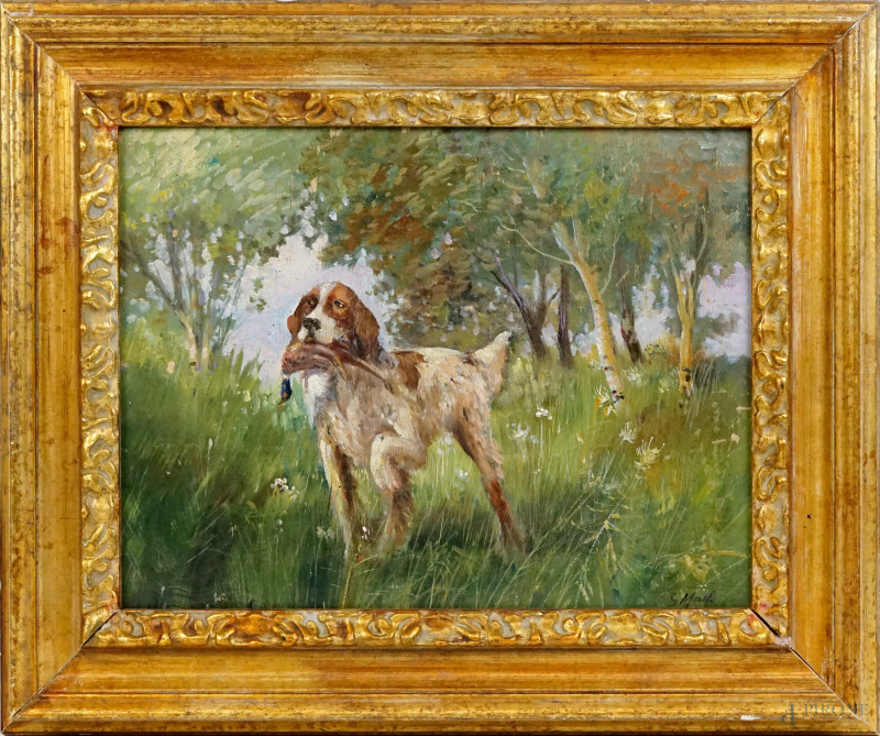 Setter con anatra, olio su tavola, cm 30x40, firmato, entro cornice.  - Asta ASTA A TEMPO - Aste Pirone