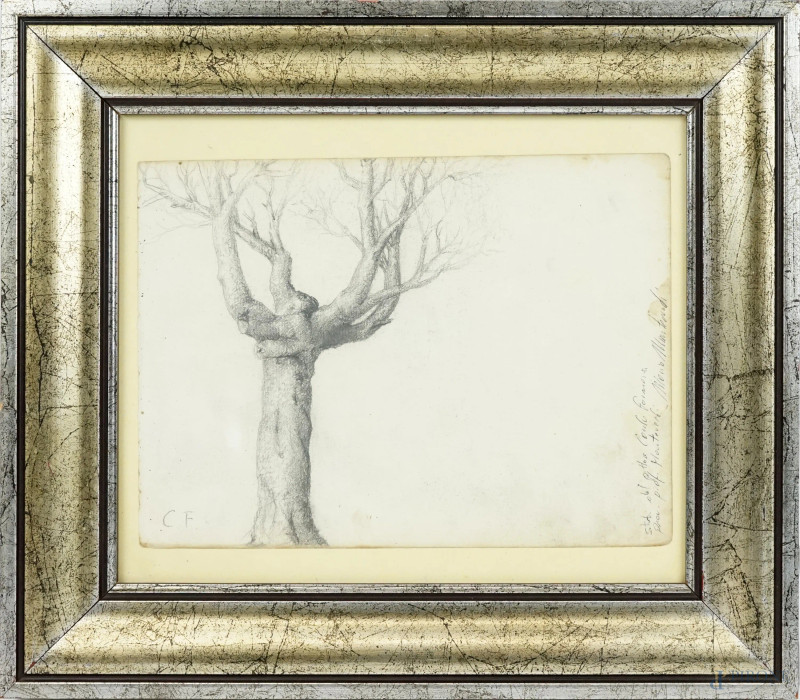 Albero, disegno a matita su carta, cm 15x21, siglato, entro cornice, (macchia sulla carta).  - Asta ASTA A TEMPO - Aste Pirone