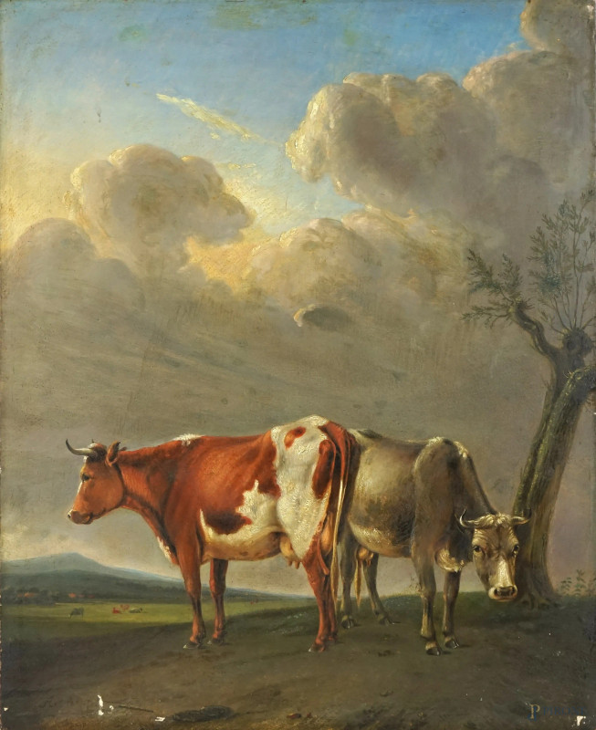 Paesaggio con armenti, olio su tavola, cm 56x43, firmato A.Cuyp in basso a sinistra.  - Asta ASTA DI ANTIQUARIATO E ARTE MODERNA - Aste Pirone