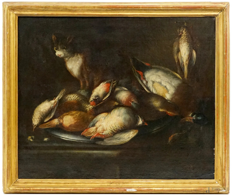 Baldassarre De Caro : Natura morta con selvaggina, olio su tela, cm 63x75,5, entro cornice, (lievi difetti)  - Asta ASTA A TEMPO DI ANTIQUARIATO E ARTE MODERNA – DUE SESSIONI - Aste Pirone