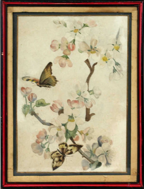 Rami in fiore con farfalle, acquarello su carta, cm 25x17, XX secolo, entro cornice.  - Asta ASTA DI ARTE MODERNA E ANTIQUARIATO - Aste Pirone