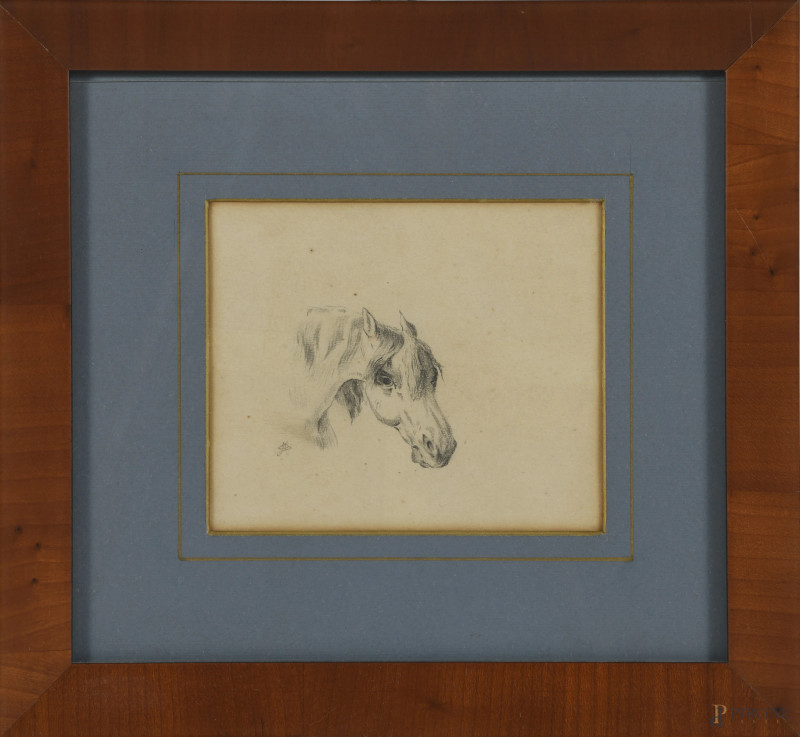Cavallo, XIX-XX secolo, grafite su carta, cm 19,5x21,5 compreso passepartout, monogramma in basso a sinistra, entro cornice, (foxing, lievi tracce di umidità)  - Asta  ASTA A TEMPO | VARIÆ - Aste Pirone