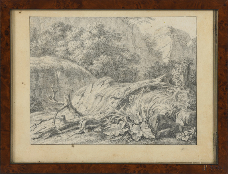 Christoph Heinrich Kniep (1755 – 1825), Tronco spezzato, grafite su carta, cm 20x27, entro cornice, (segni di usura, foxing, tracce di umidità, foro)  - Asta ASTA A TEMPO | ELECTA - Aste Pirone